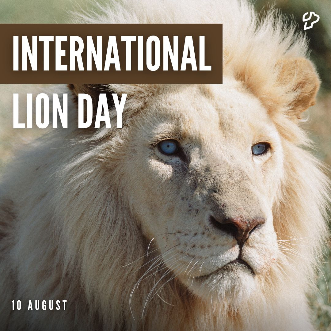 world lion day