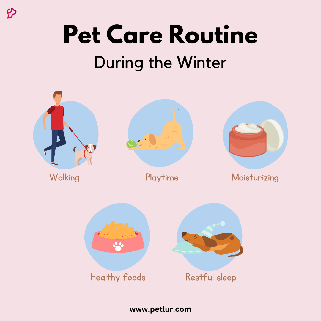 Pet-care routine