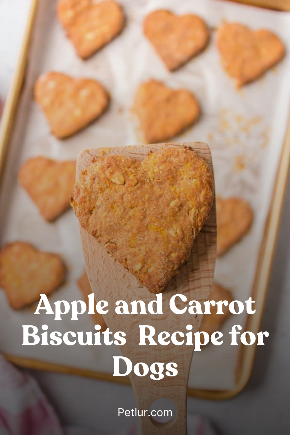 Apple and Carrot Biscuits