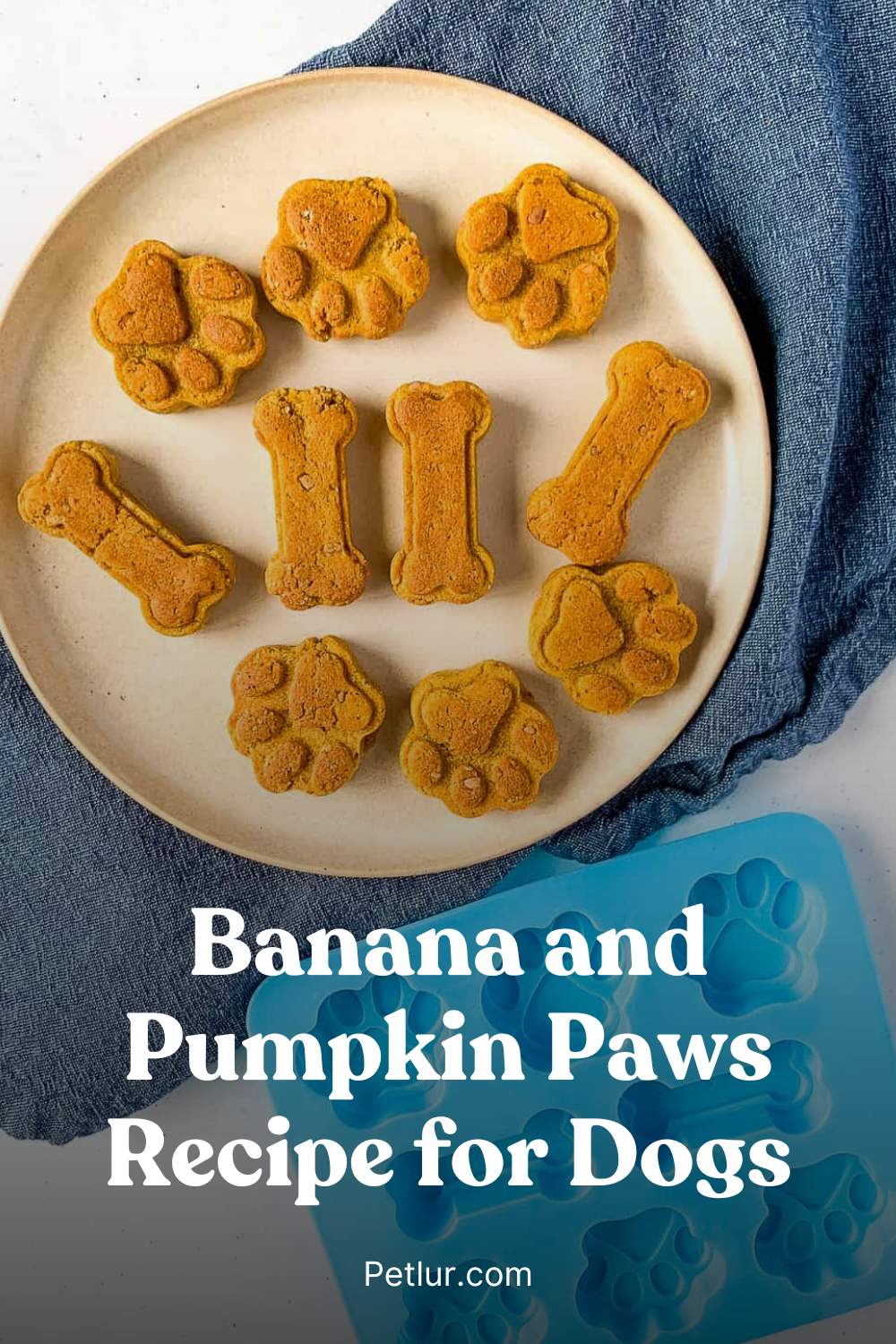 Banana and Pumpkin Paws Recipe for Dogs