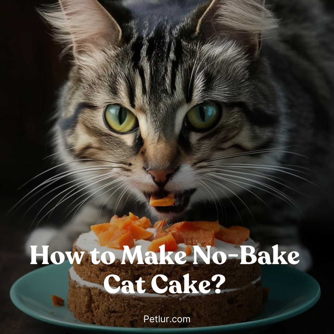 How to Make No-Bake Cat Cake?