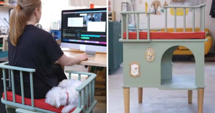 Woman Creates Chair That Lets Needy Pets Sit Near You During Work