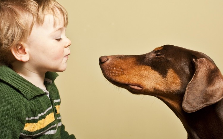 Children who grow up with pets make more sensitive and sympathetic adults -  LifeGate