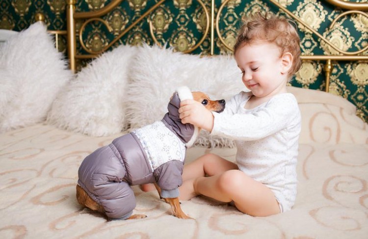 The Most Adorable Pictures of Pets and Babies That Will Instantly Make You  Smile | Slideshow | The Active Times