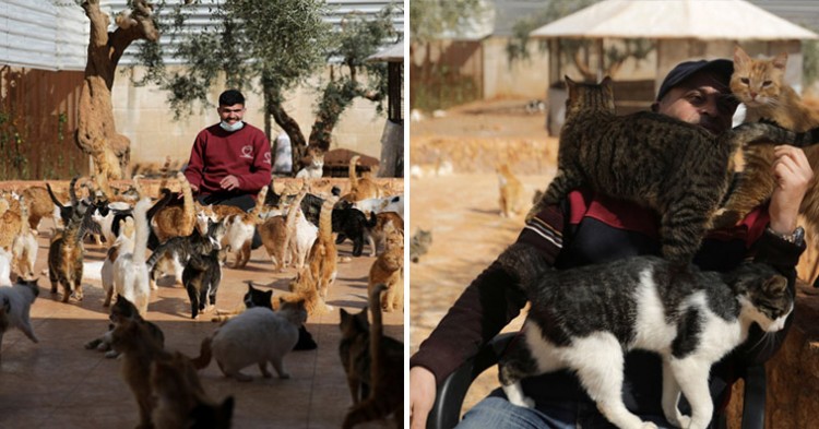 Over 1,000 cats stranded in war-torn Syria have found refuge at a Syrian cat sanctuary