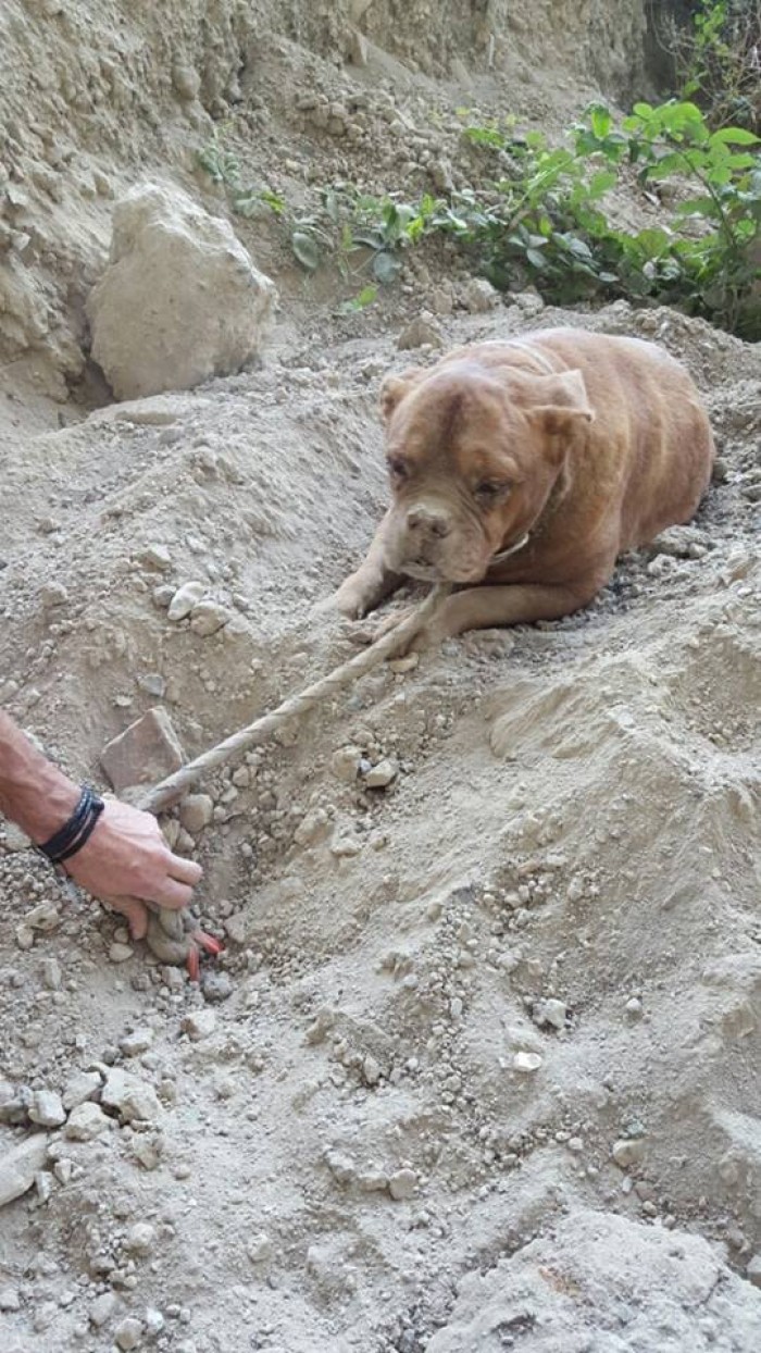 Athena was very weak and dehydrated. She was also very calm during her rescue.