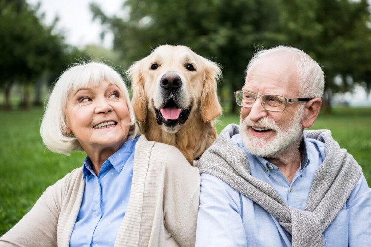 Senior couple sitting in a park with their dog