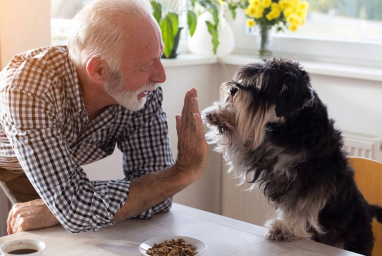 Preparing Pets for Moving into Senior Living | Eagle