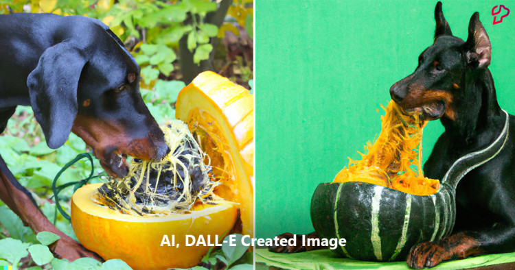 Can Dogs Eat Spaghetti Squash? Benefits of Spaghetti Squash for Dogs