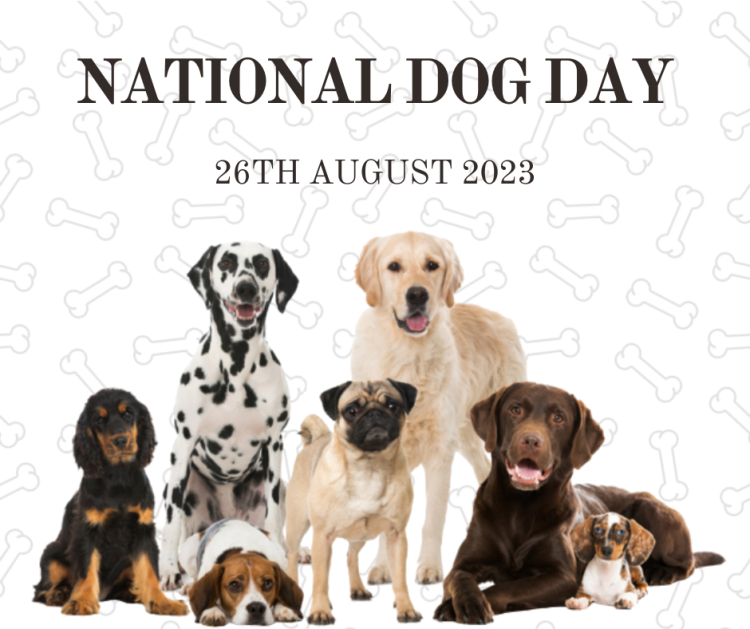 National Dog Day – August 26, 2023: Celebrating Our Furry Friends