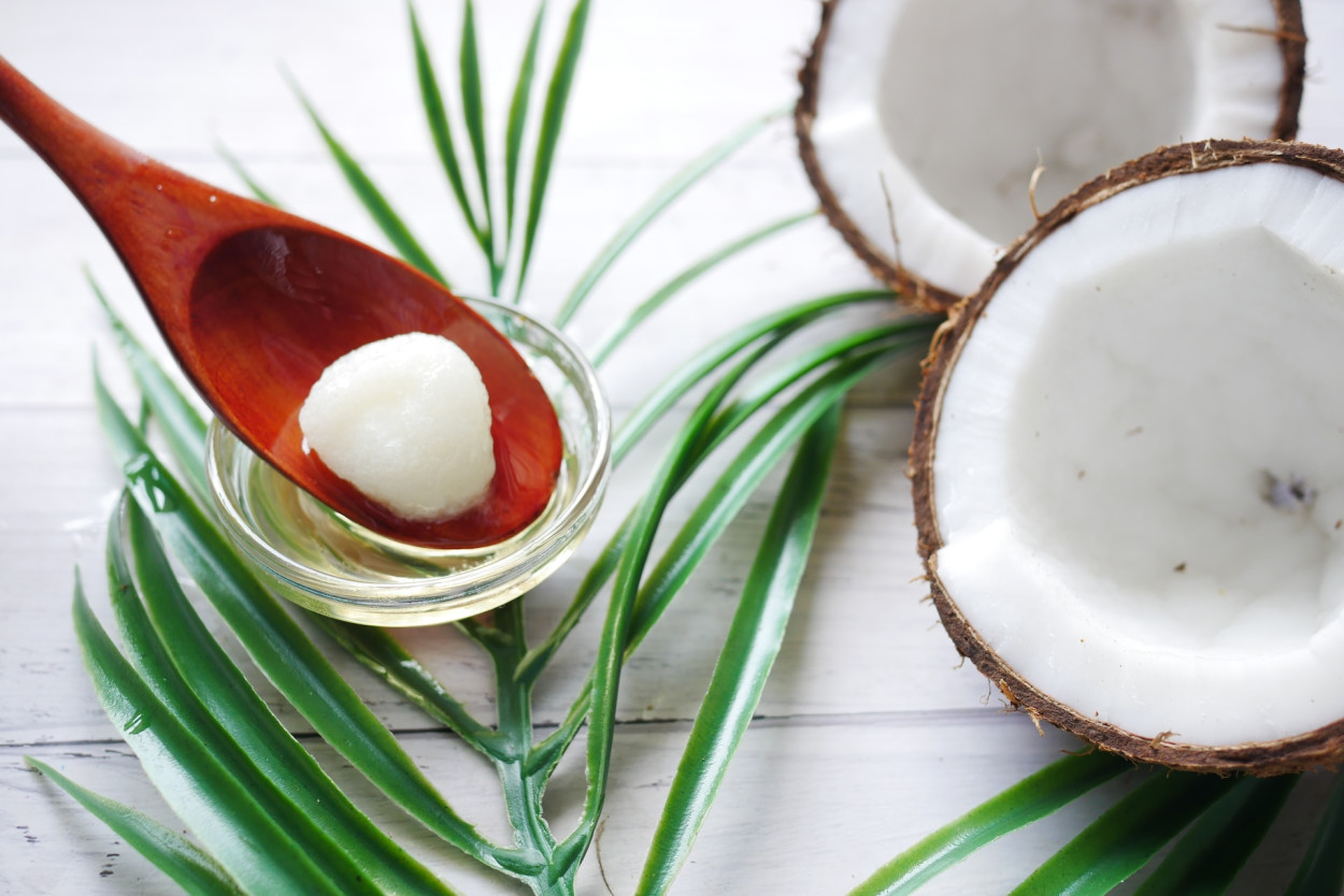 Coconut Oil for Dogs': Benefits and Risks Guide