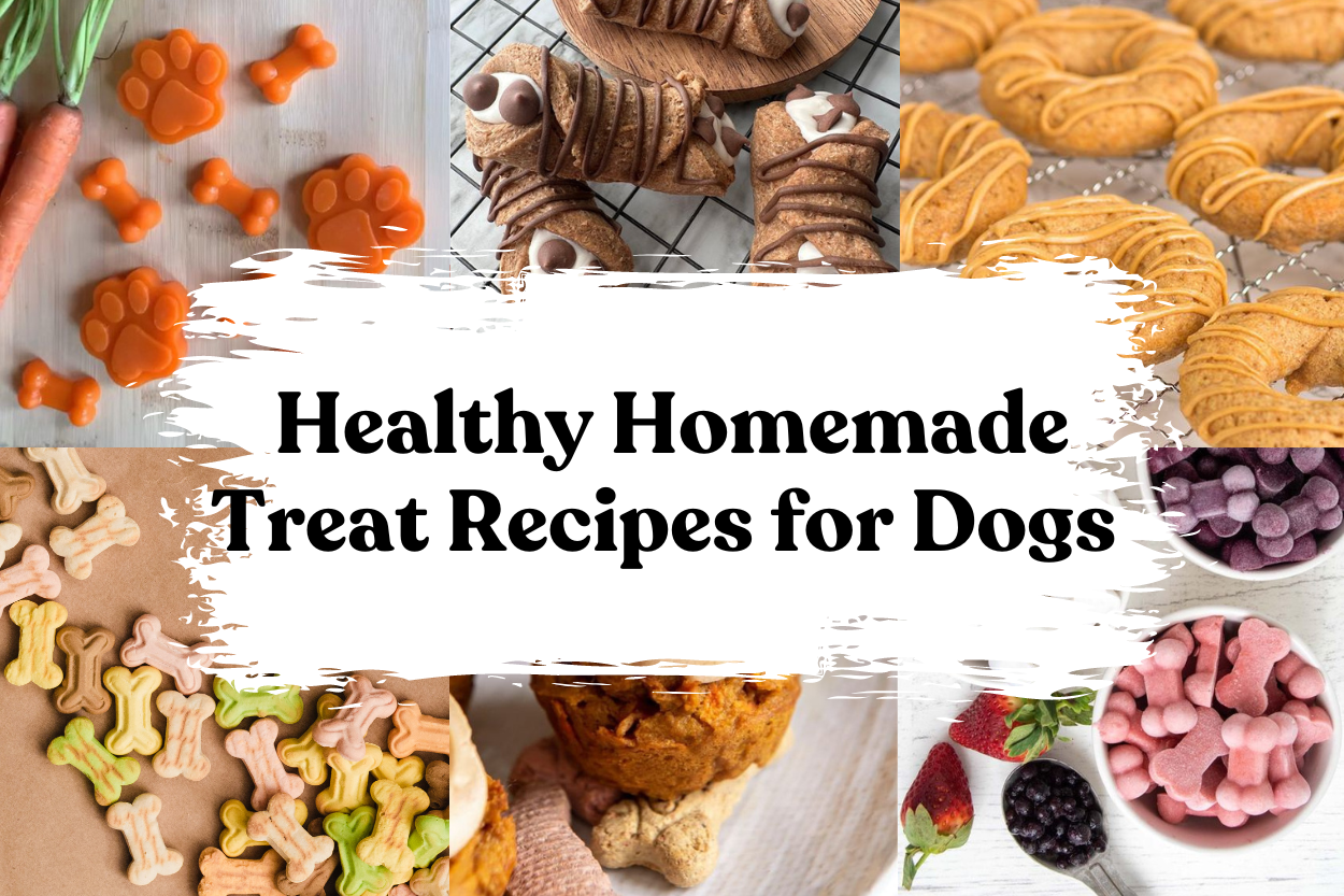 Healthy Homemade Treat Recipes for Dogs