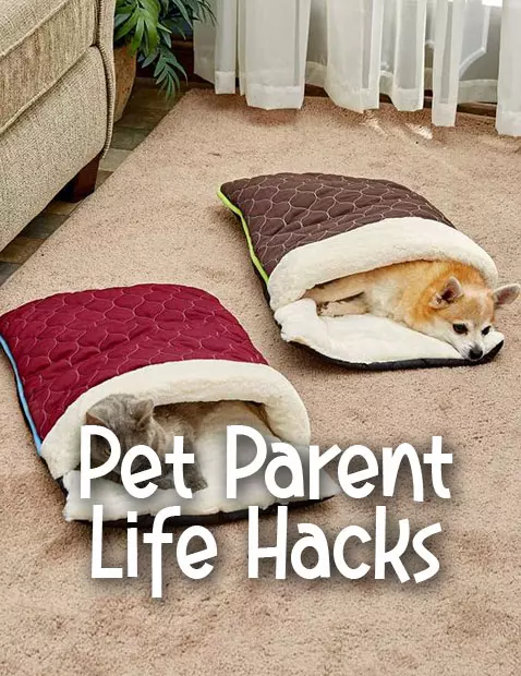 Pet Parent Life Hacks