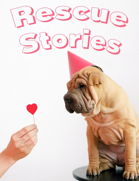 Rescue Stories