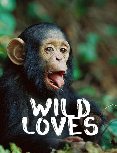 Wild Loves